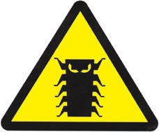 bug.jpg