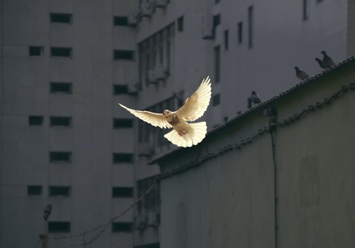 sunguk-kim-JhqBxsORuXA-unsplash.jpg